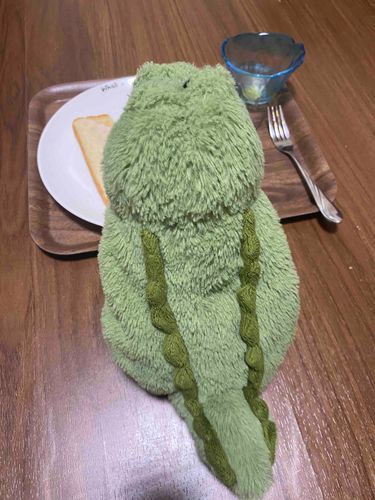 おはよぉございまーす🐊🍚
朝ごはん食べて今日も営業頑張りますよぉ〜❣️🐊