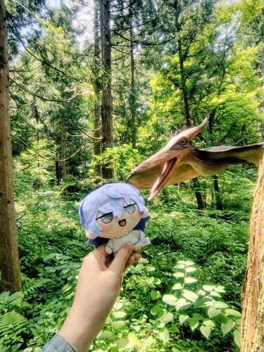 ﾜ～ｯ