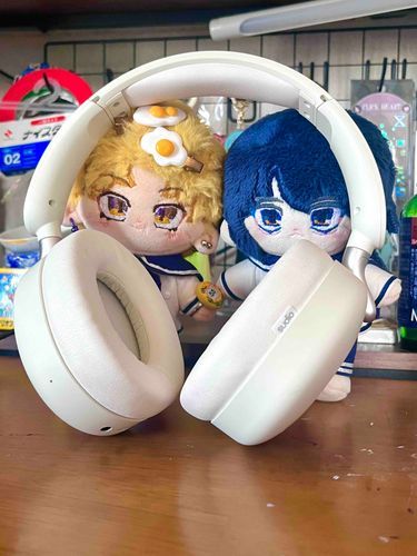 ヘッドホンゲットしたよ🎧
耳あてがもちもちだ〜😉