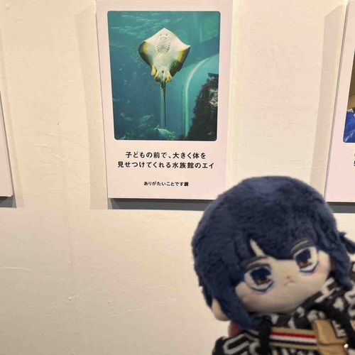 エイの真似してみました