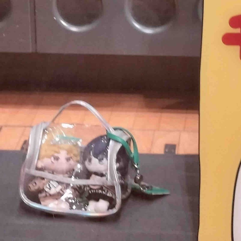 ケースにしては、大きすぎる気がします