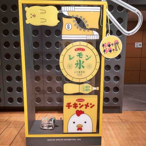 ケースにしては、大きすぎる気がします