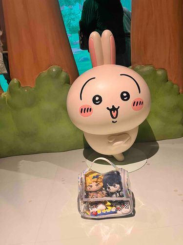 うさぎ先輩だー！いつもめざましで見てます！⏰