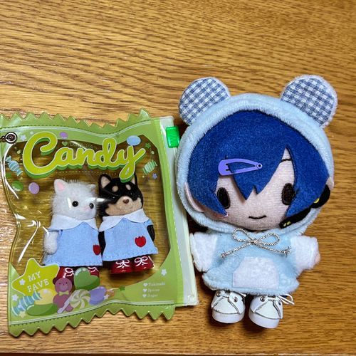 (｡･ω･｡)ノ＜おはようございまーす！