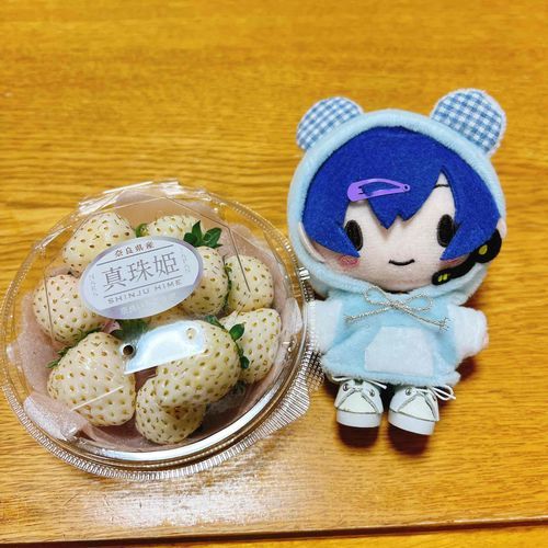 (｡･ω･｡)ノ＜おはようございまーす！
