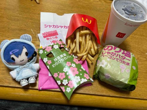 (｡･ω･｡)ノ＜おはようございまーす！