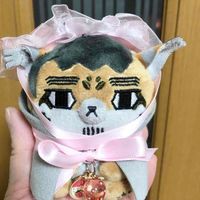 ヤンさん⊂(  ･ω･ )⊃