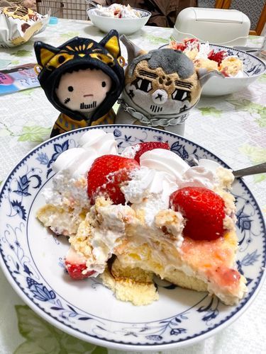 コストコのストロベリースコップケーキ…めちゃくちゃ美味しい…けど夜遅くに食べる物ではない😭…夜中に胃もたれで辛かった🥲‎💦