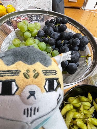 ぶどうも枝豆も美味しい！秋大好き(*^ω^*)