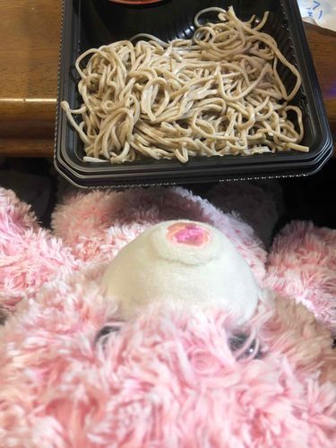 もちぬしは おそば たべてた
ももちゃんは あめりかうまれなので そば しらなかったよ
