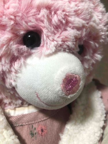ももちゃんあめいやだねってずっとはなしかけてくる
あめのひのおそと、でたことないからわからないよ