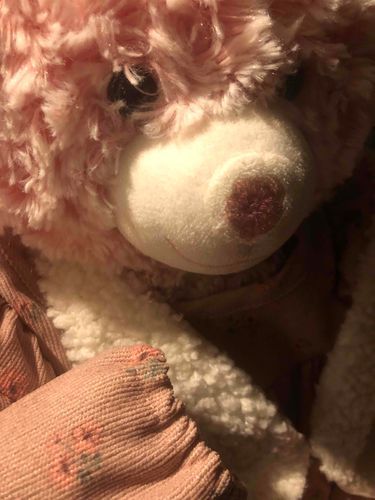 ろうかのたなのうえが ていいちになったので もちぬしは いつも かわいいねただいまっていう
よくかんがえたら ただいまがさきかって ひとりではんせいしてた