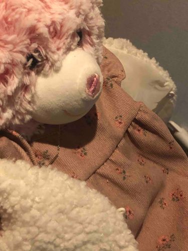 もちぬしが さむくなったねって いいながら うわぎを きせてきた
きせたあと ももちゃんは もこもこだから しんぱいないかもって わらってた