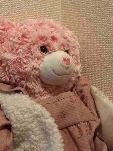 もちぬしが ひっこして おちついたらしい
あたらしいばしょでも ぜったいいっしょだって
なつはあつくなるから おようふく きがえるらしい

