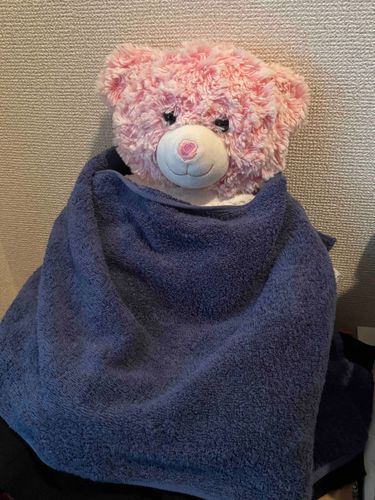ふふん
あったかい