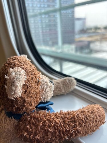 旅行行きたいね