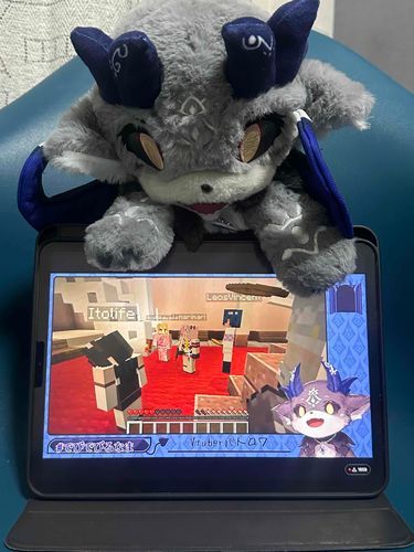 けいやくしゃといっしょにぼくをみた！
#でびぬい撮り
