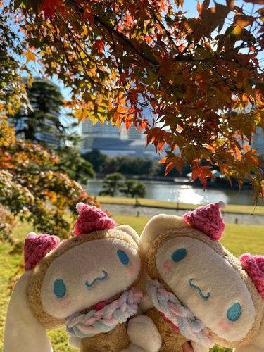 こんにちはー。はっぱとおしゃしんとった！
にんげんは、このはっぱがあかくなるのがすきなんだって。
なんでってきいたら、きれいだからって言われた。
ふーん？みどりもきれいだけどね？