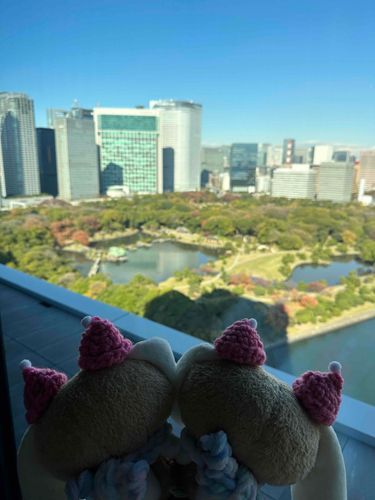 こんばんはー！今日はぼくだよ！
こないだおとまりしたって言ったじゃない？そのとき、まどから外がたくさんきれいに見えたよ。
ピューロも見えたらよかったのに！