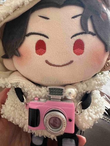 あるじがかめらくれた！