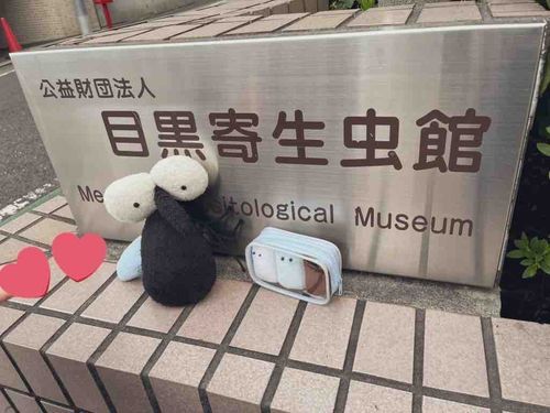 めぐろきせいちゅはくぶつかん　にいきました！