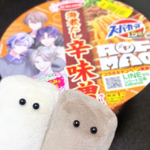 もちぬしが スプラトゥーンに むちゅうで おそくなりましたが おひるごはんです！