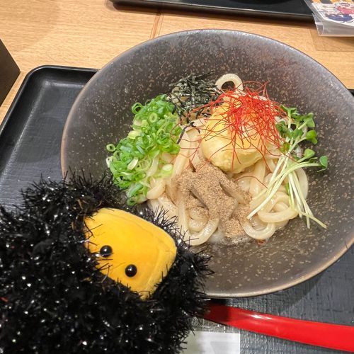 あぶらうどん です！