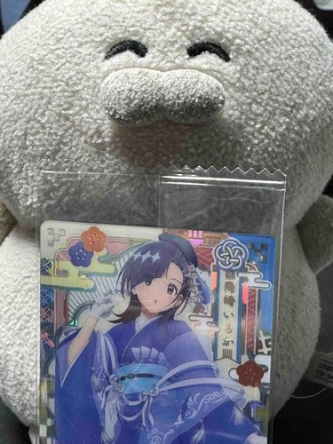 ごろにゃーん（お菓子を買ったらお目当ての子が出てくれました！　嬉しいです）