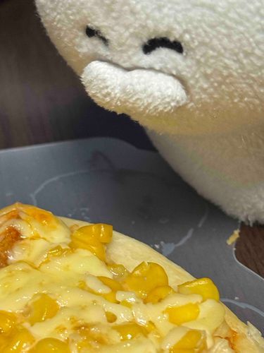 ゴロニャン！（今日は一日休みだったのでピザを作りました。おっと、ピザじゃなくてピッツァでしたね）