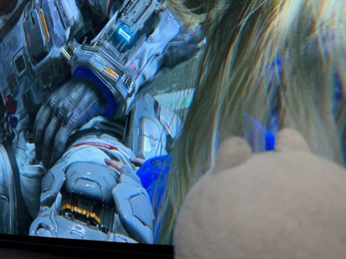 ゴロニャン…！（月でお仕事することになりました。月震が怖いです……）