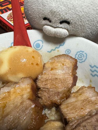 ゴロニャ！（角煮をつくりました！　おいしくできましたよ〜）