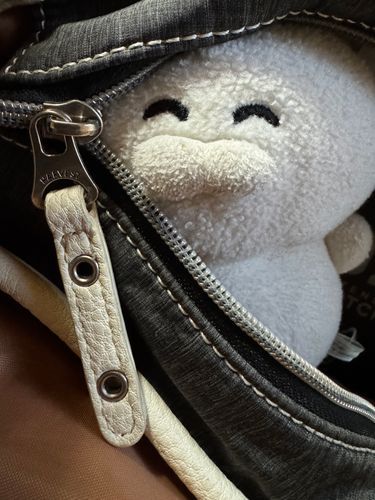 ゴロニャン…（深淵をのぞくとき、私もまたそちらをのぞいています）