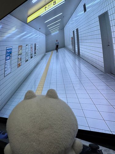 ゴロニャン…（ま、迷い込んでしまいました…）