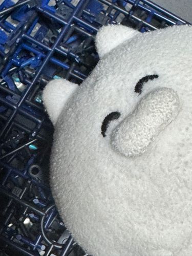 ごろにゃーん（本日はロックスミスの組み立てをしております。ついつい積んでしまいがちなプラモ、早く消化せねば）