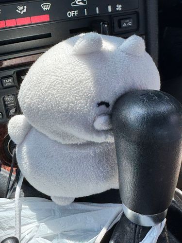 ゴロニャン……（本日も暑いですね。顰めっ面です）