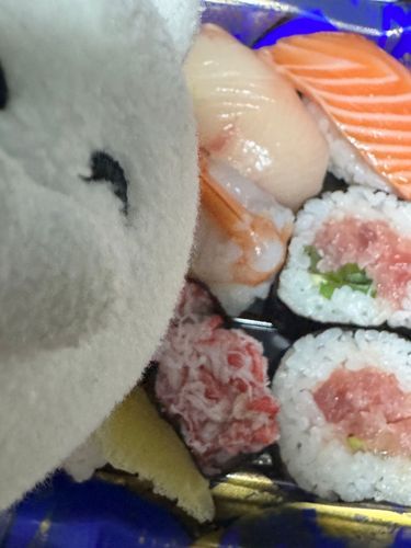 ゴロニャン！（今日はいいことがあったのでお寿司にしました！　とはいえ、TGS行けないの悲しいなぁ……）