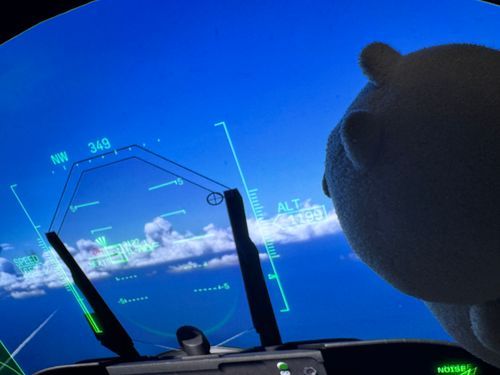 ゴロニャン…（空は、青いですね）