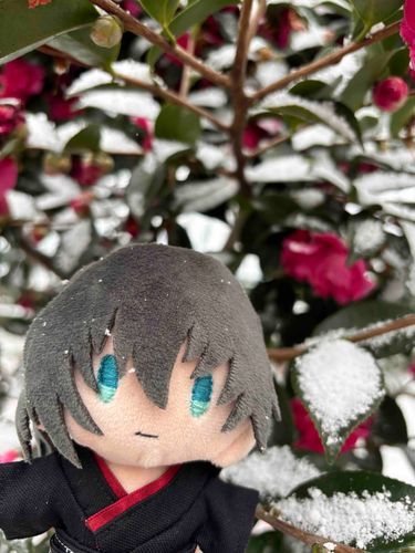 ゆきがつもってきたな！
