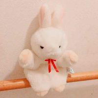   ꪔ̤̮  ぽぽたん ꪔ̤̫