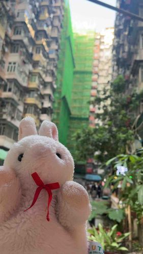 香港きた！でかいね〜
