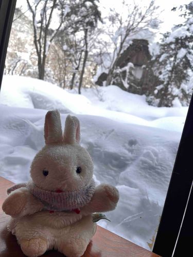 しらかわごう！