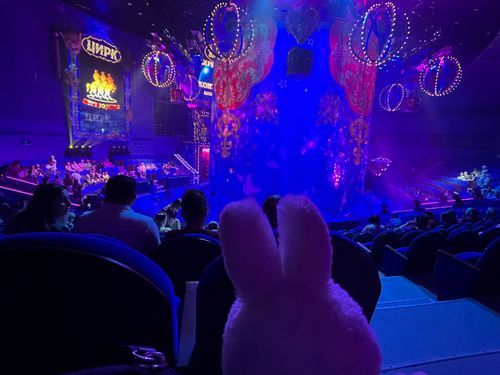 さーかすたのしみ🎪
