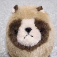 ゲンコツ