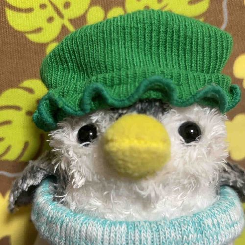 お出かけ大好き！
ペンギンのきんちゃんです🐧
みんなよろしくね~！