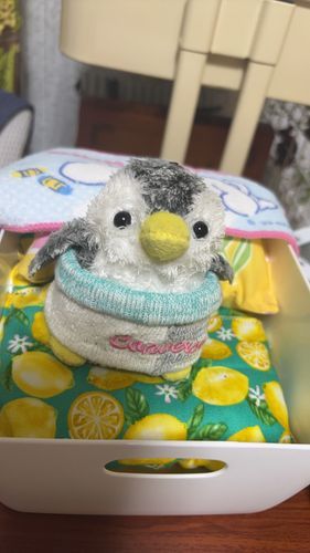 今日は僕がいつも寝てるベッドを紹介するよ~
ベッドは飼い主が作ってくれたんだ
シナモロールの掛け布団は僕のお気に入り！