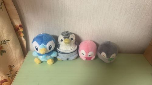 きんちゃん「今日は仲間を紹介するよ〜！」

ポッチャマ「ポチャ！こっちでいいポチャ？」

コウペンちゃん「ポッチャマとってもえらーい！」

きんちゃん「もう！みんなカメラはあそこだよ〜」
