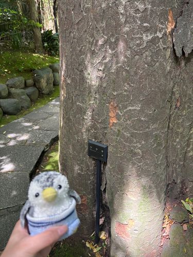 みんな！
ぽかぽかでお散歩日和だよ~♪