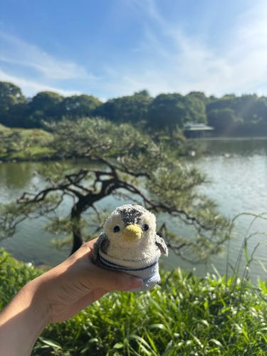 きんちゃん
ここが清澄庭園だよ~