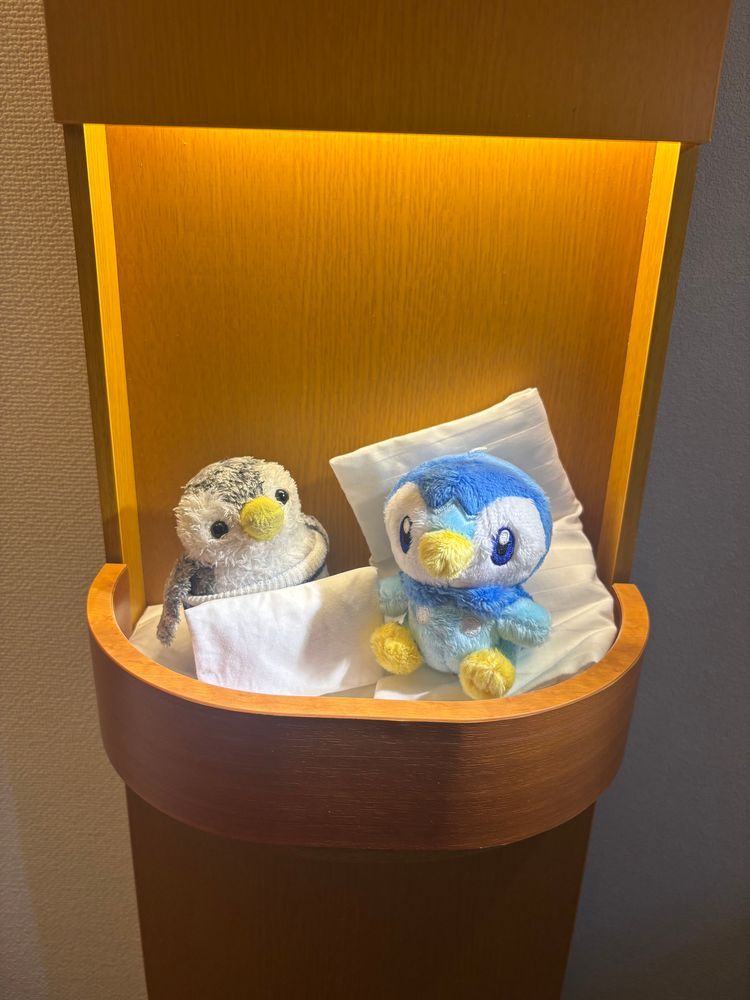 きんちゃん「昨日はここにお泊まりしたよ~！」
3枚目はお布団の準備をするきんちゃんとポッチャマ✨
ガウンは2人とも入らなかったけど、気持ちよさそうに寝ていました💤
東横イン推し活プラン🌟

