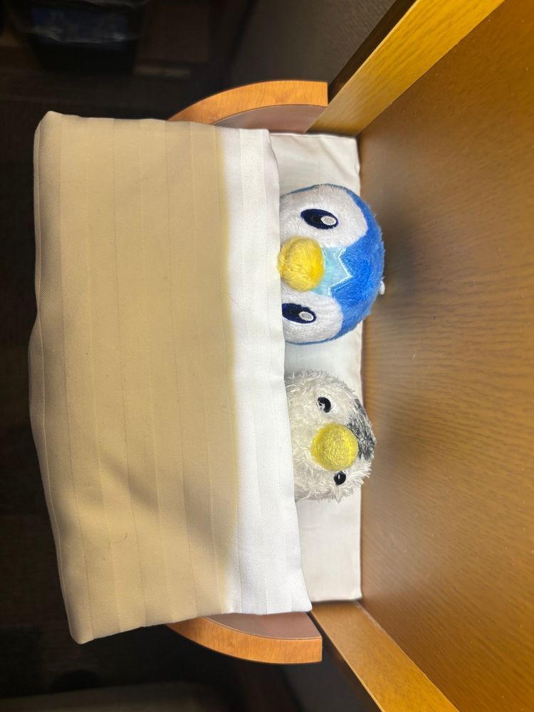 きんちゃん「昨日はここにお泊まりしたよ~！」
3枚目はお布団の準備をするきんちゃんとポッチャマ✨
ガウンは2人とも入らなかったけど、気持ちよさそうに寝ていました💤
東横イン推し活プラン🌟

